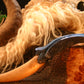 Emrys Dragon Tooth Dagger