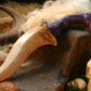 Scatha