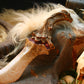 Abrasaax Dragon Tooth Dagger