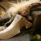 Nemeth Dragon Tooth Dagger