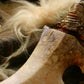 Nemeth Dragon Tooth Dagger